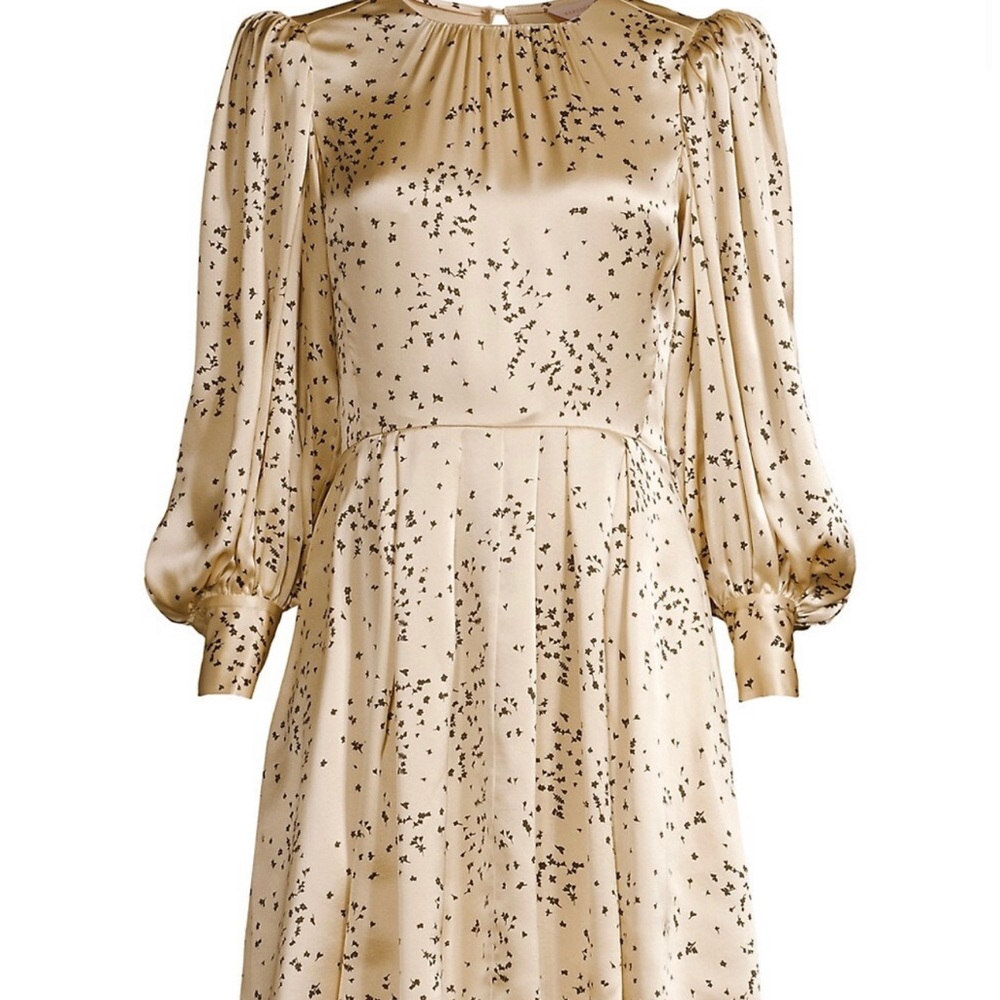 Gently Worn in Good Condition, Silk Charmeuse Dress, Size 6, Champagne Combo